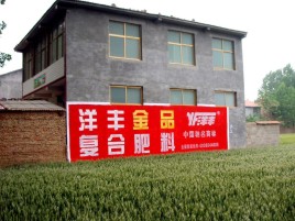 苏州如何让墙体广告展现最大化效果